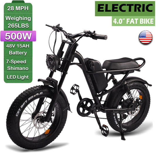 EMB009 New Design 500W Mountain Electric Bicycle Out Door With Fat Tiire Ebike