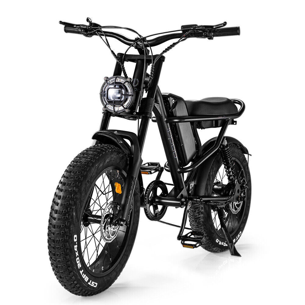 EMB009 New Design 500W Mountain Electric Bicycle Out Door With Fat Tiire Ebike