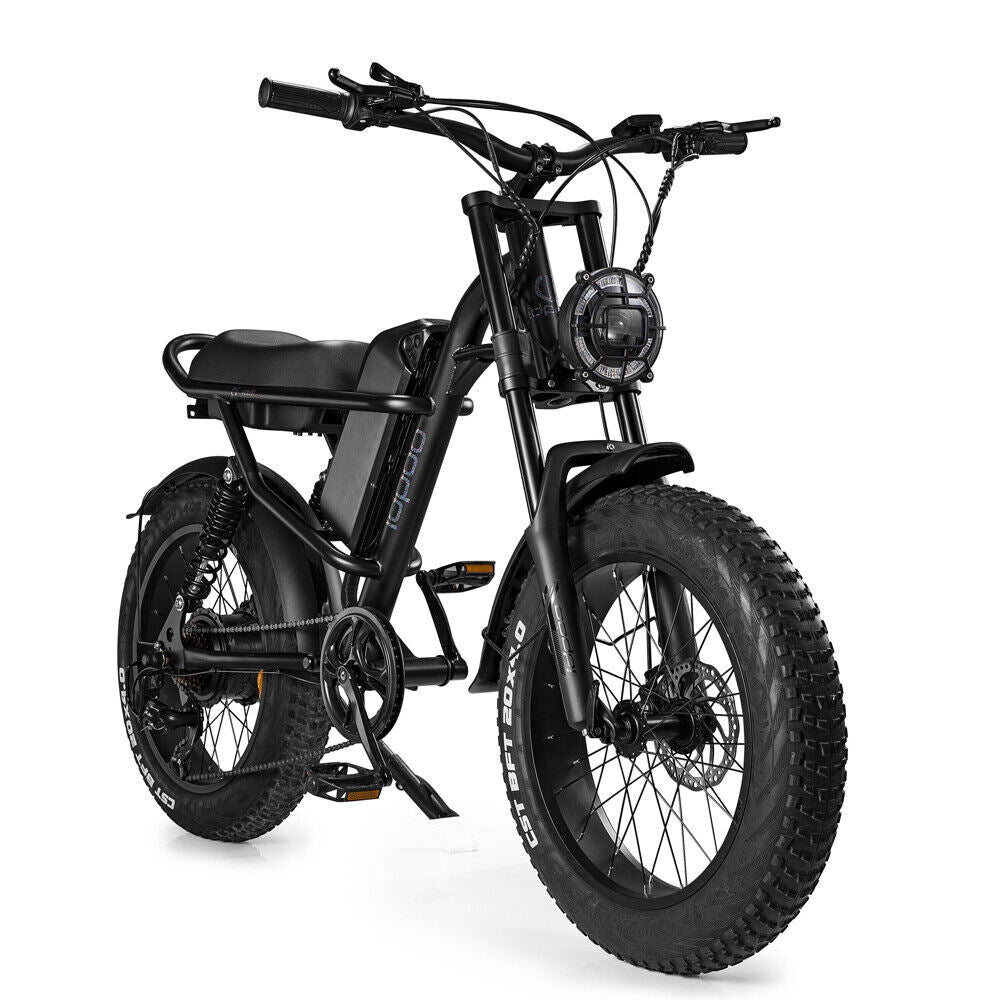 EMB009 New Design 500W Mountain Electric Bicycle Out Door With Fat Tiire Ebike