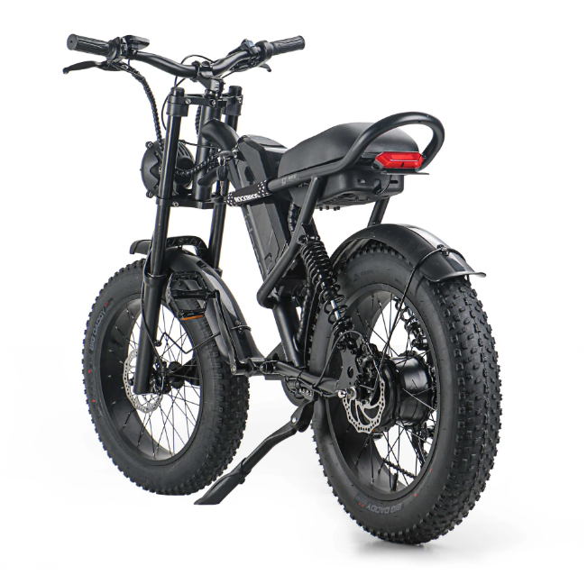 EMB009 New Design 500W Mountain Electric Bicycle Out Door With Fat Tiire Ebike